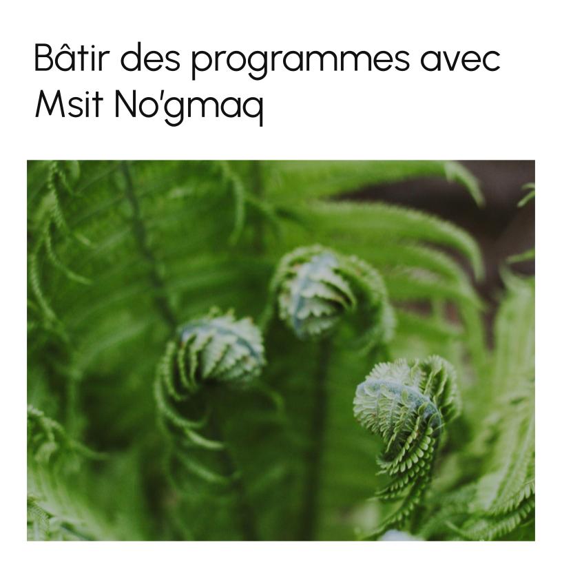 Building Programs with Msit No’gmaq (all my relations)