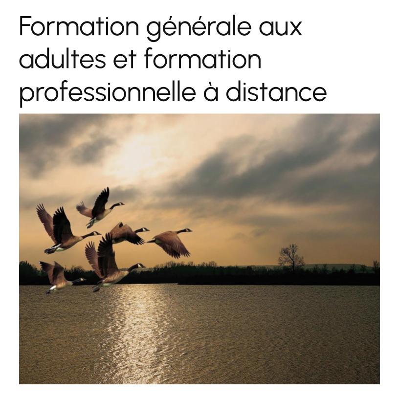 General Adult Education & Vocational Training at a Distance