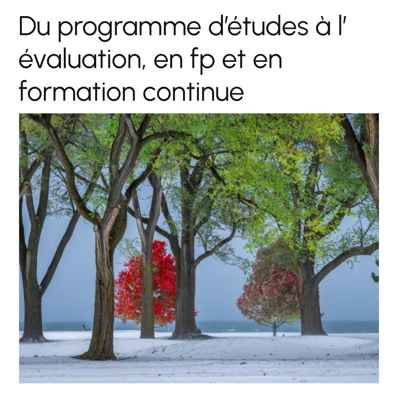 From Curriculum to Evaluation in VT and Continuing Education