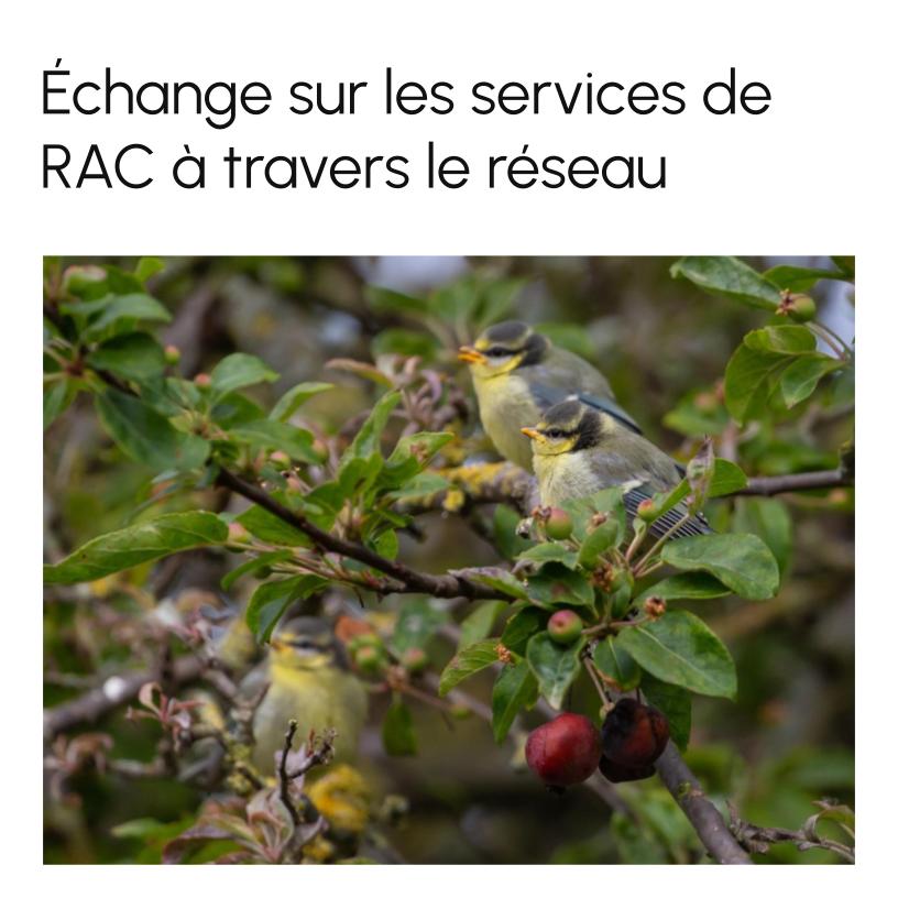 Strengthening RAC across Indigenous Centres