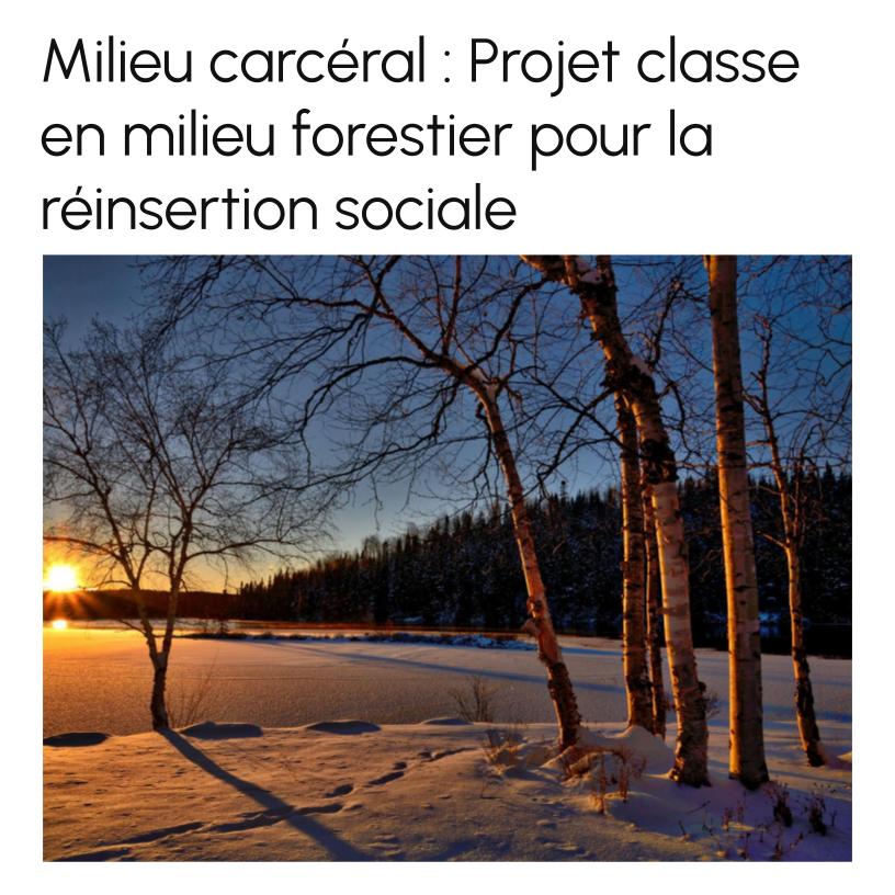 Correctional Facilities: Forest Classroom Project for Social Reintegration