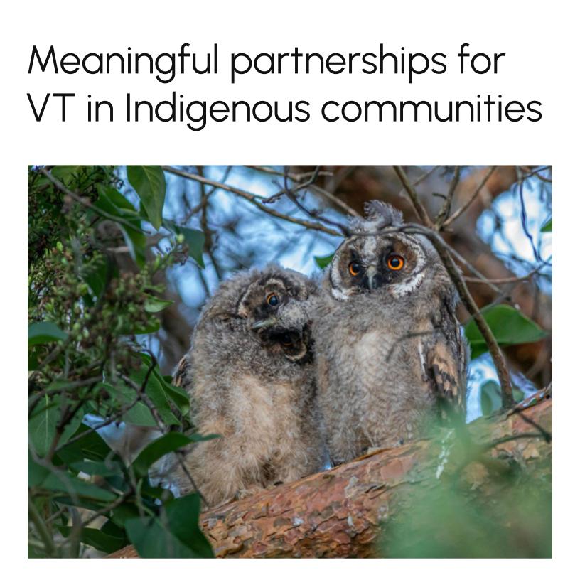 Meaningful partnerships for VT in Indigenous communities