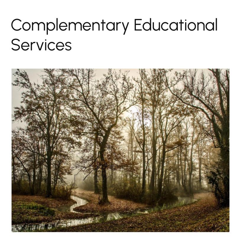 Complementary Educational Services