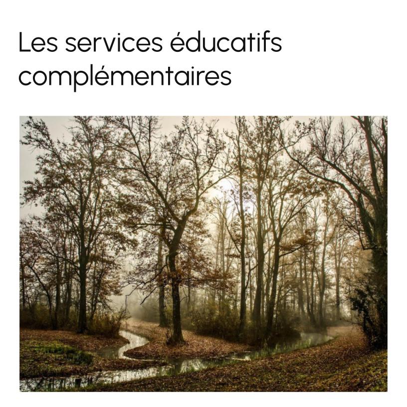Complementary Educational Services