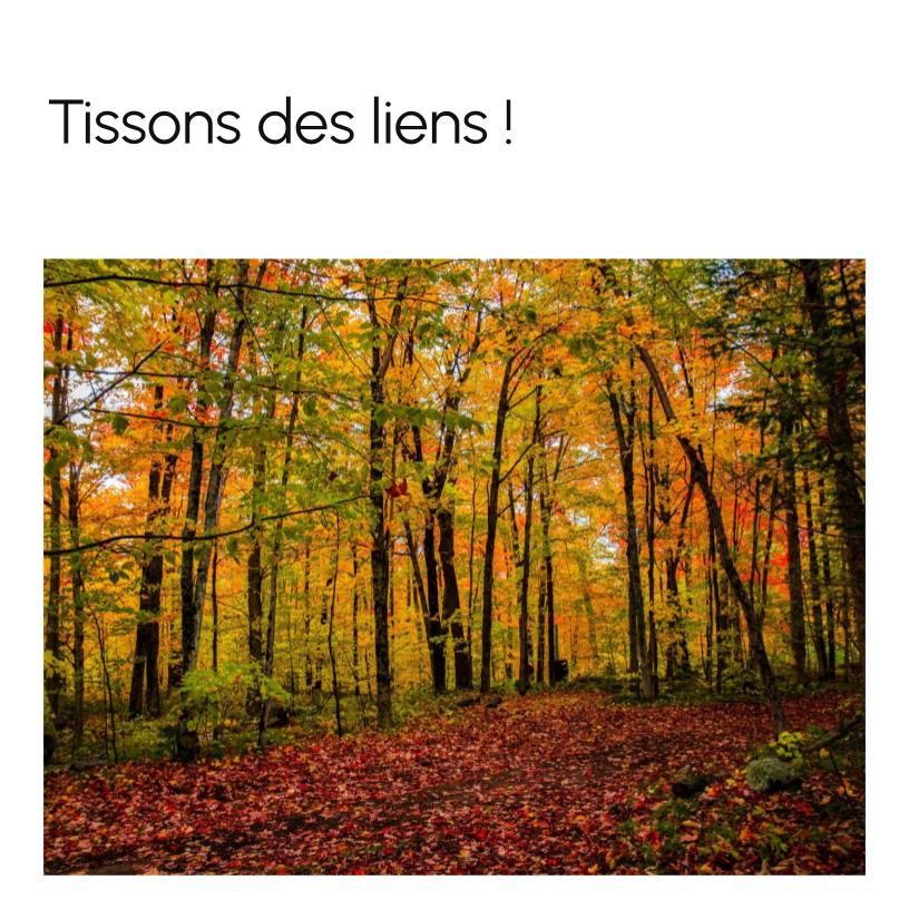 Let’s Get Connected!