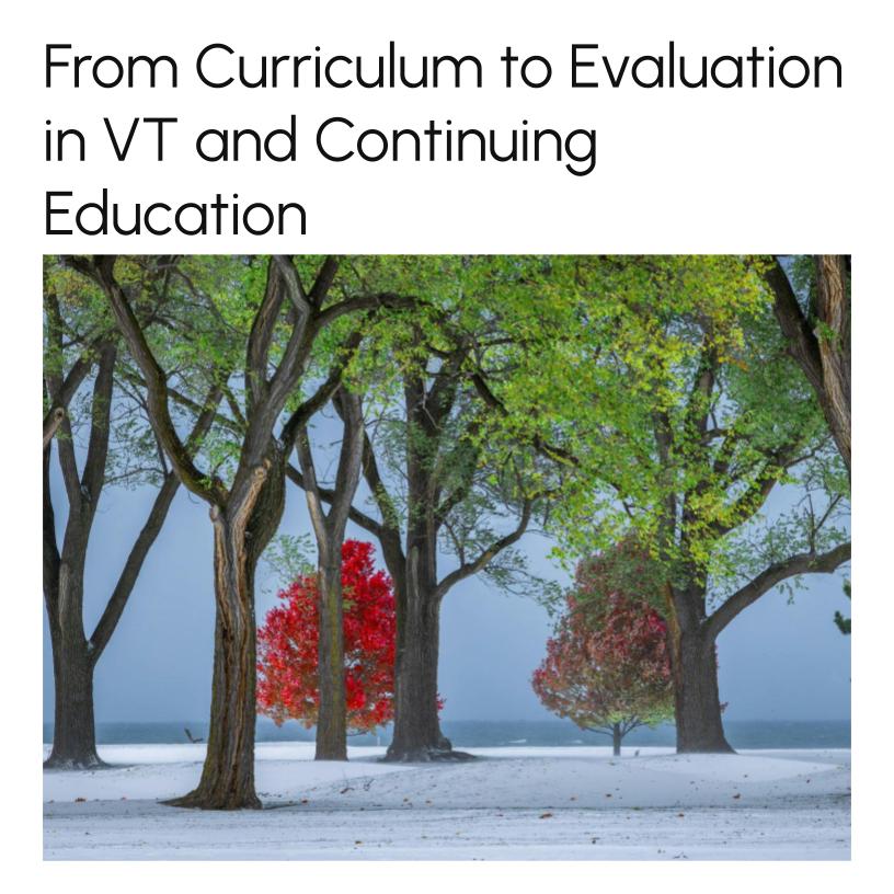 From Curriculum to Evaluation in VT and Continuing Education