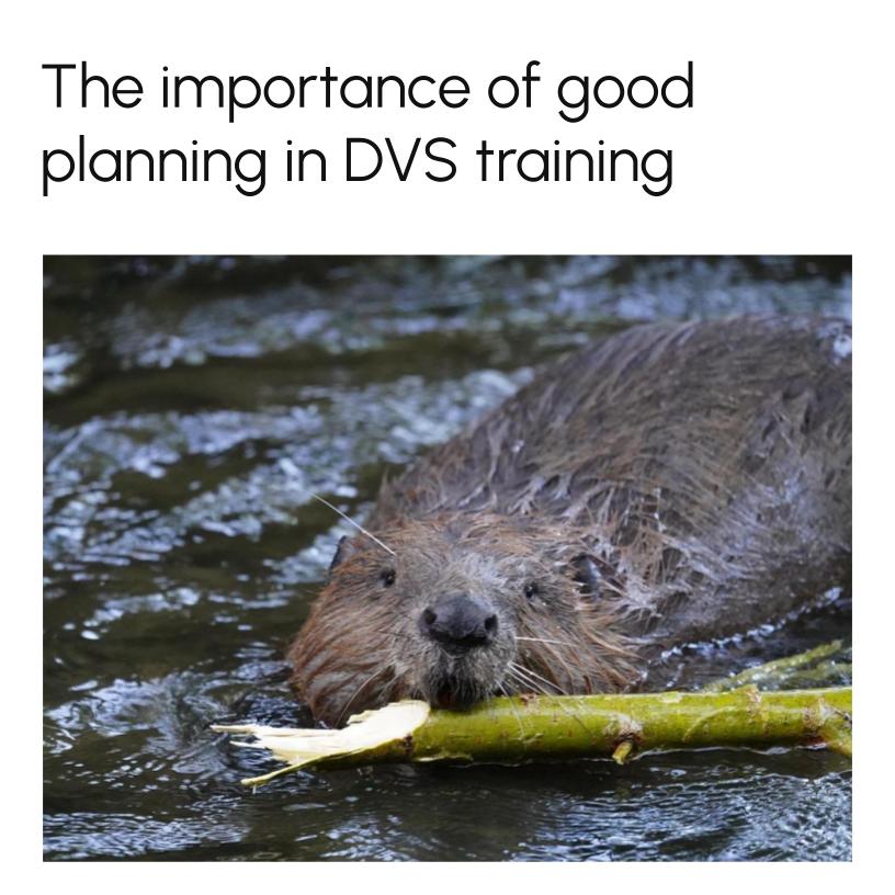The Importance of Good Planning in DVS training  (Part 1)
