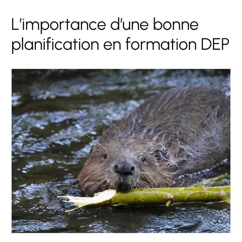 The Importance of Good Planning in DVS training  (Part 1)